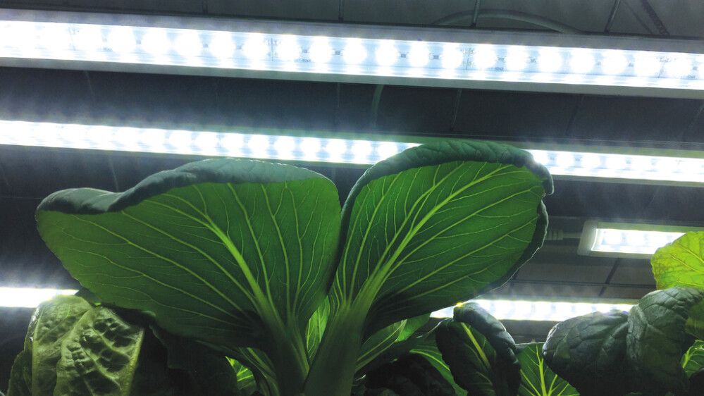 Kasvivalaisin Nelson Garden LED-lista 15W jatko-osa