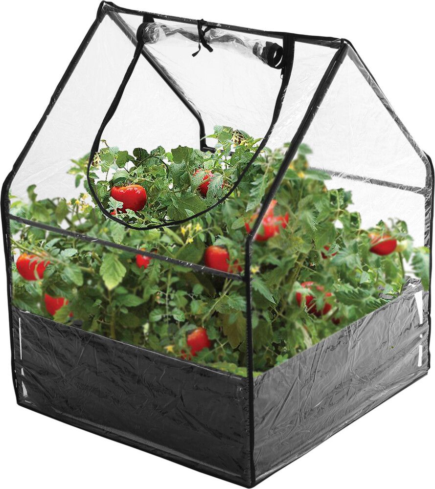 Kasvihuone Hortus 65 x 65 x 85 cm