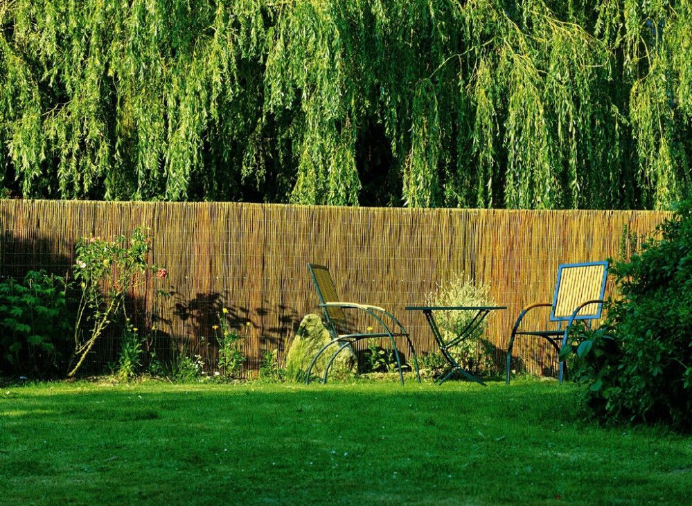 Pajuaita 180 x 300 cm