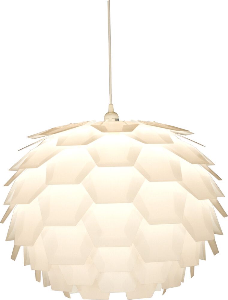 Riippuvalaisin Aneta Carpatica