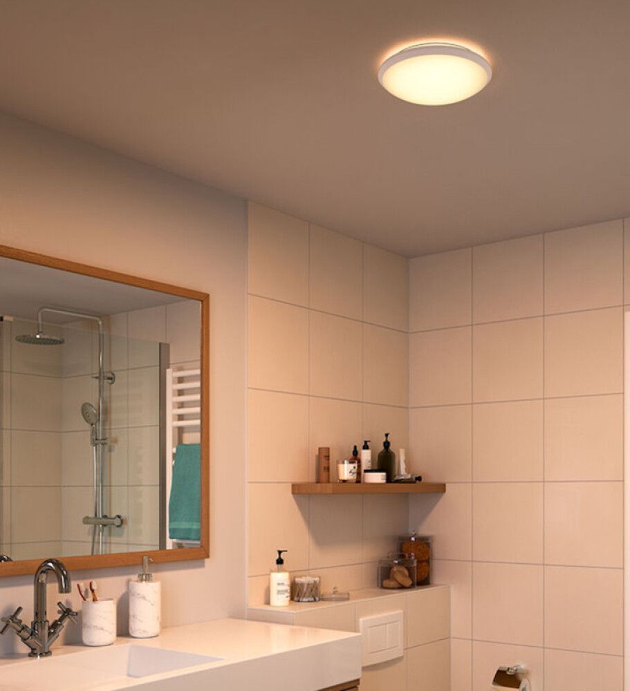 Kylpyhuonevalaisin Philips Spray Hopea Ø 28,7 cm