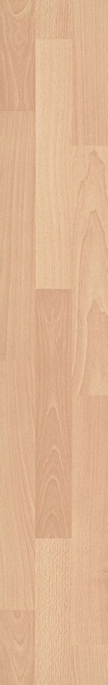 Mallipala Logoclic Pyökki Odenwald