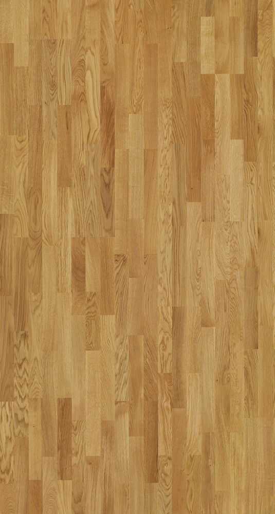 Parketti Parador Basic 11-5 Oak Nature Lacquered