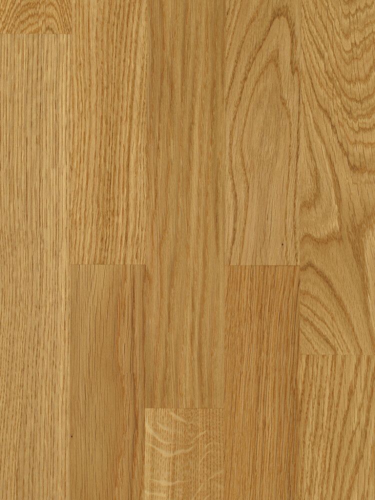Parketti Parador Basic 11-5 Oak Nature Lacquered