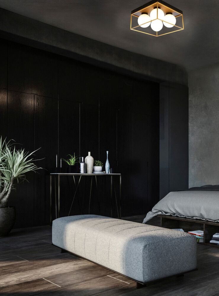 Kattovalaisin Aneta Astro