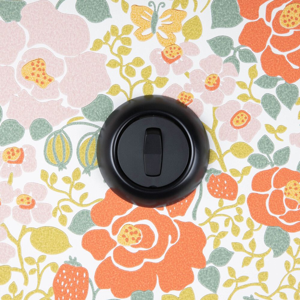 Vaihtokytkin Schneider Electric Renova 6 Musta