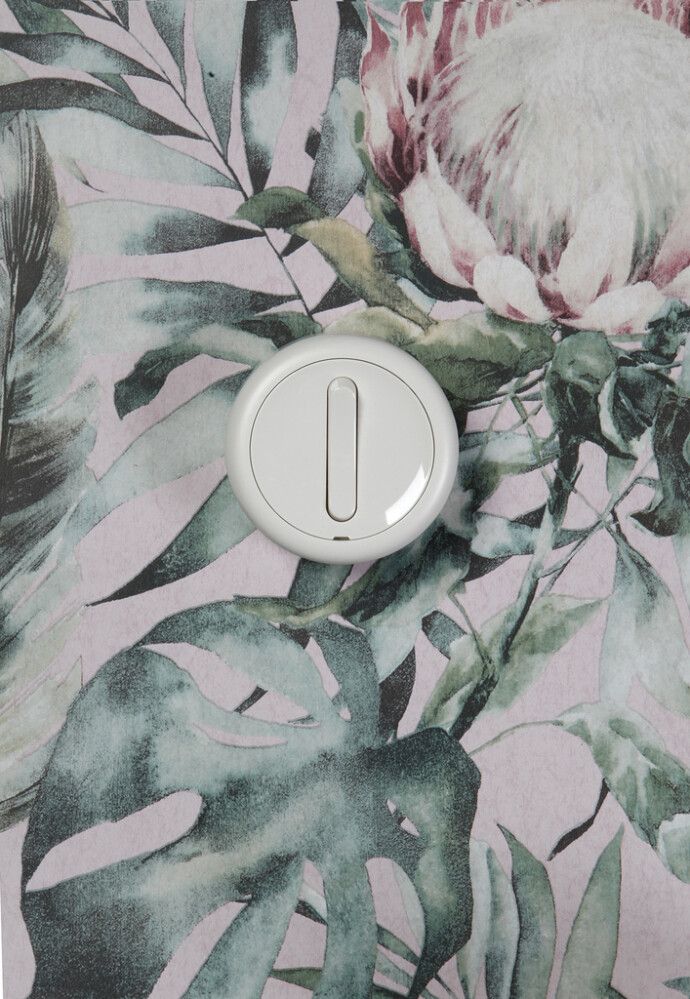 Kytkin 61 Schneider Electric pinta-asennettava Renova 6/16A/IP21 Valkoinen