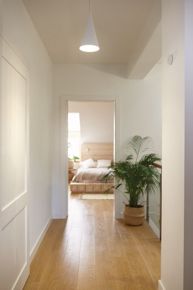 Liiketunnistin Schneider Electric Wiser Katto