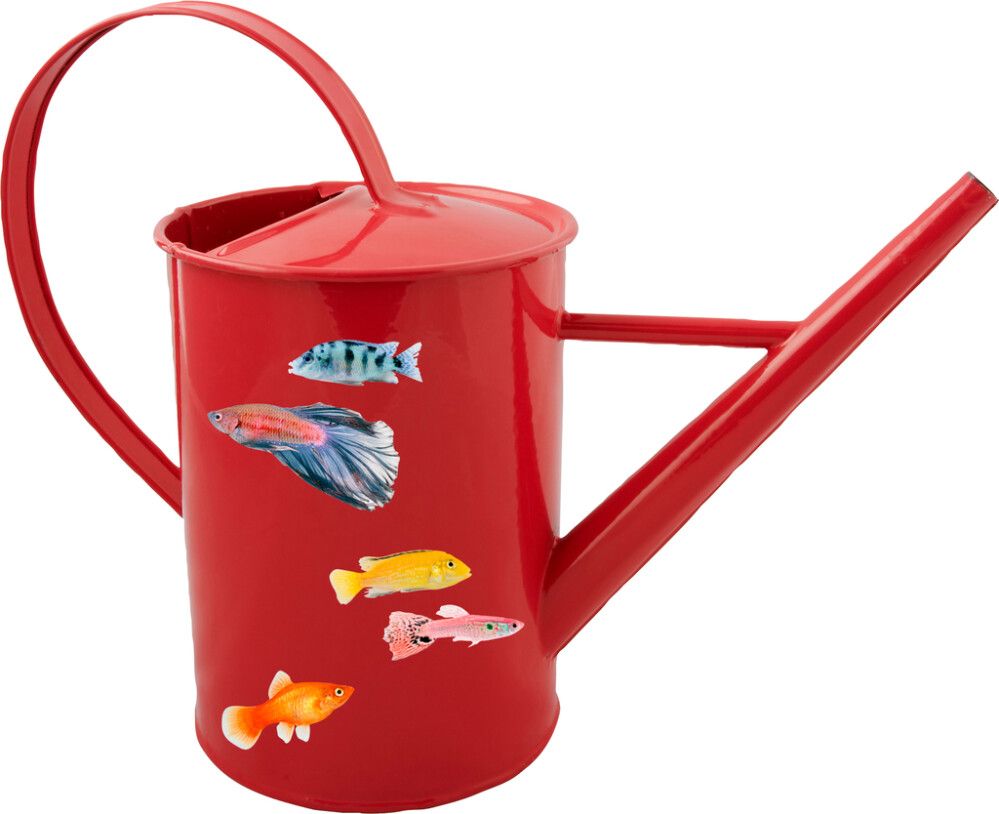 Seinätarra Plage XXS Tropiikki