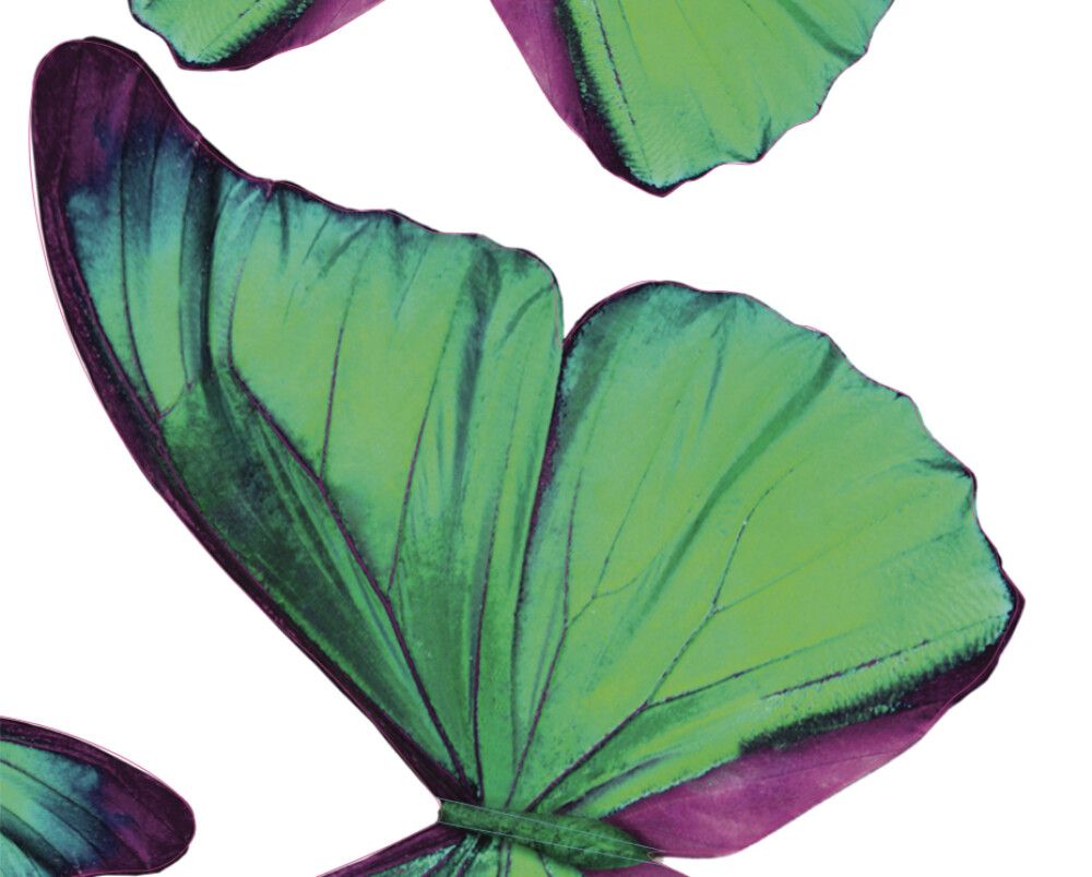 Seinätarra Plage 3D Vihreät Perhoset