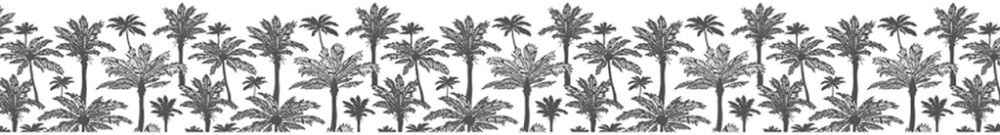 Boorditarra Plage Maere Grey 5 x 300 cm