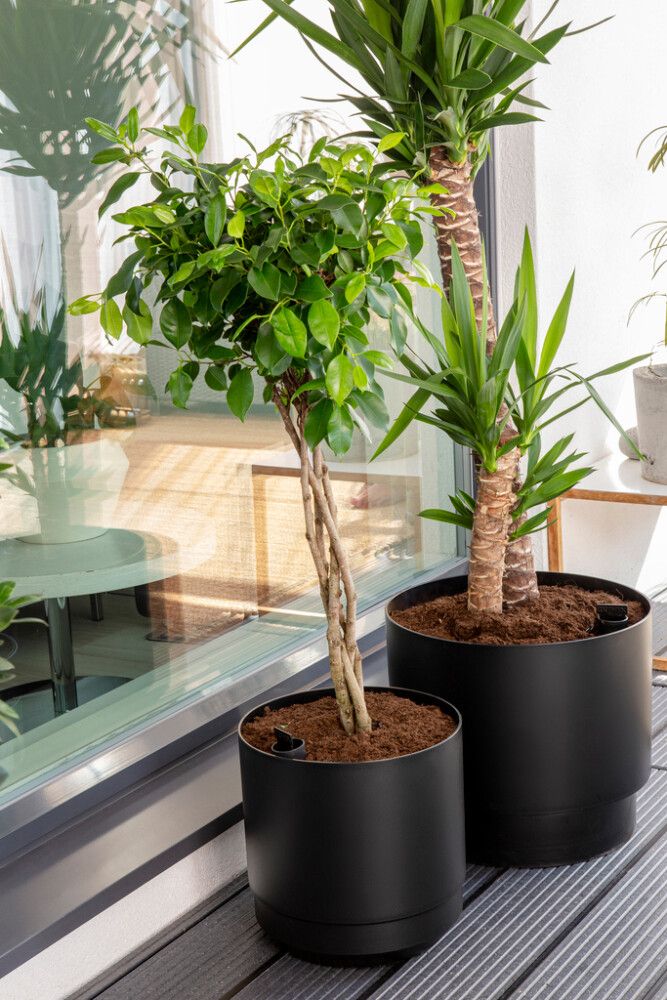 Kestokasteluruukku Orthex Pauliina musta 40 cm