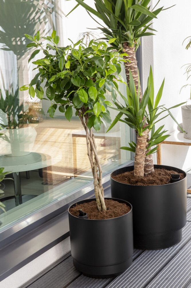 Kestokasteluruukku Orthex Pauliina musta 40 cm