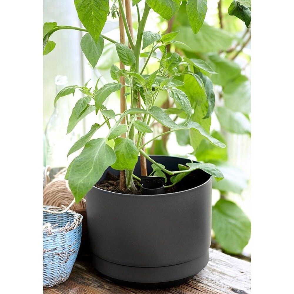 Kestokasteluruukku Orthex Pauliina musta 25 cm