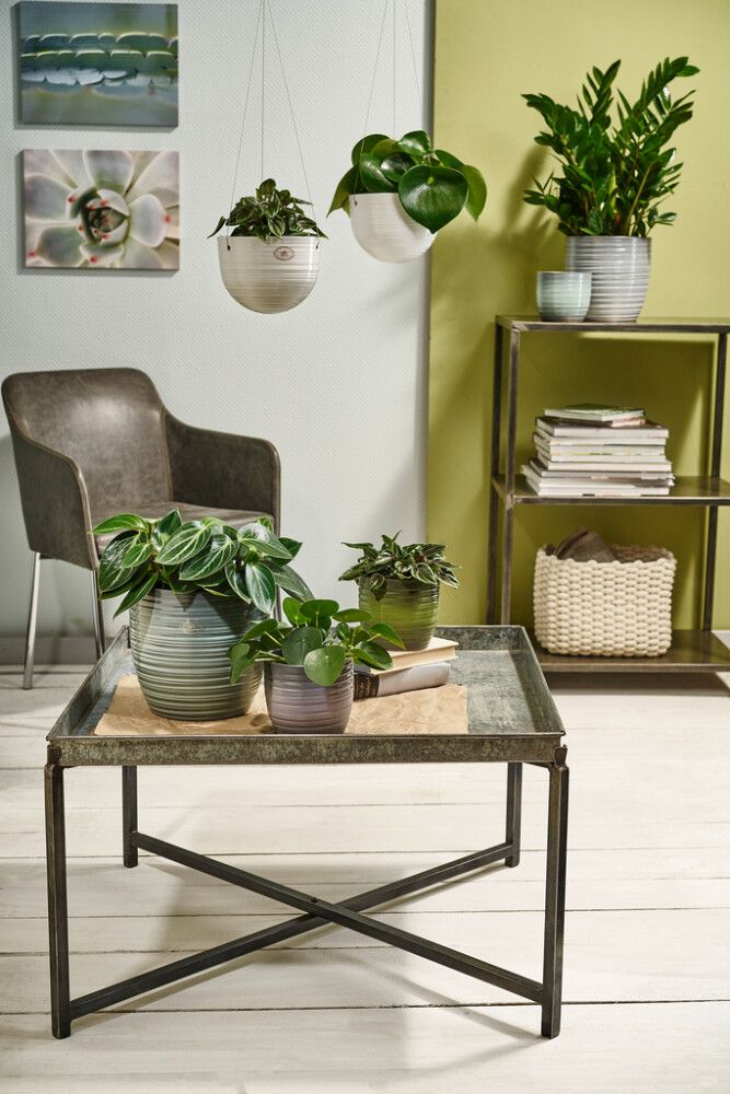 Suojaruukku Bergamo mintunvihreä 24 cm