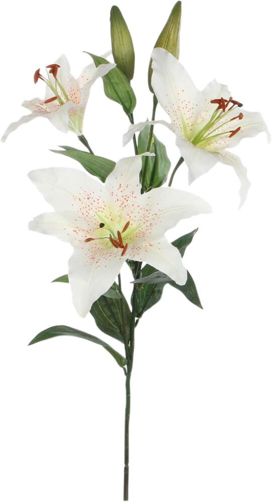 Silkkikasvi lilja X3 valkoinen