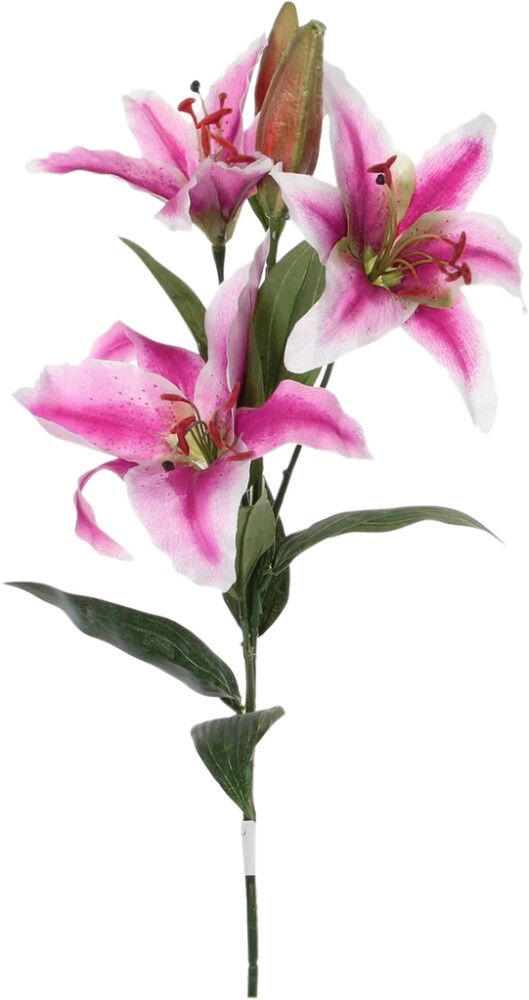 Silkkikasvi lilja X3 vaaleanpunainen