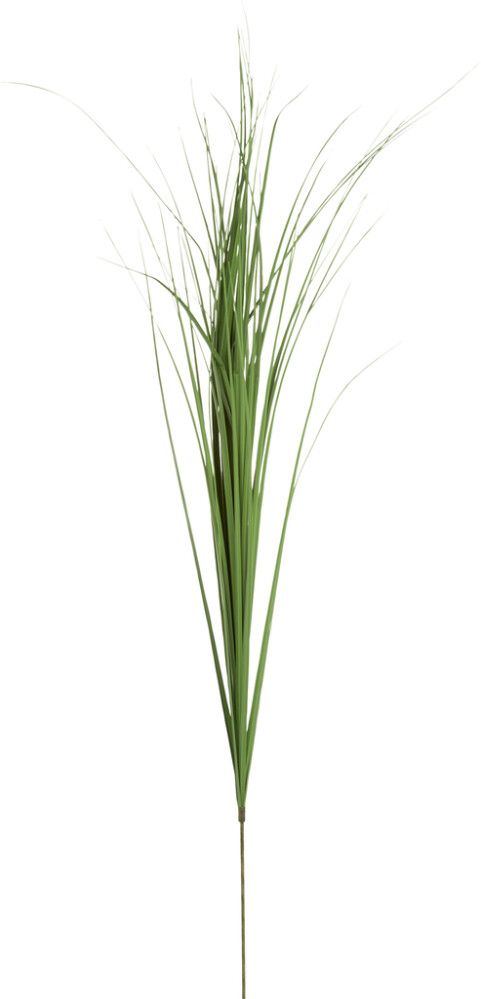 Silkkikasvi kaislanippu 99 cm