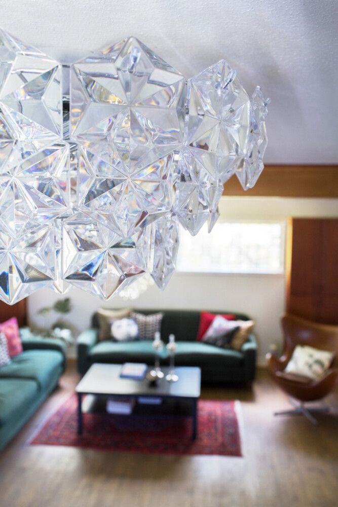 Kattovalaisin Sessak Monarque