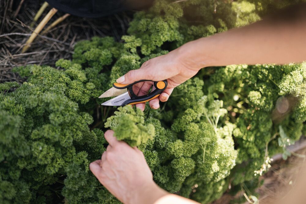 YRTTISAKSET FISKARS SOLID SP220