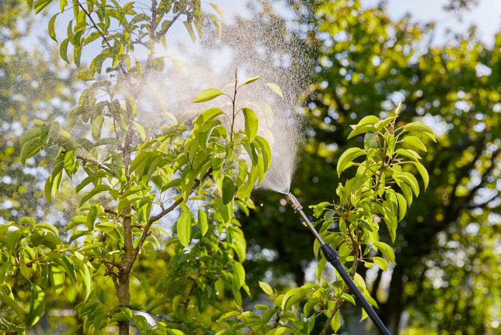 Reppupaineruisku Gardena 12 l