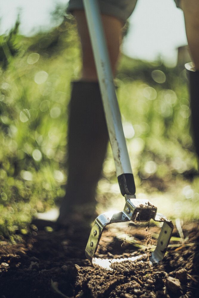 Rikkaruohohara Fiskars Xact