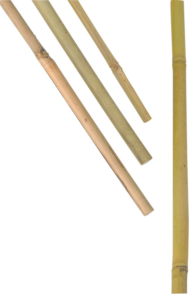 Kukkakeppi bambu 120 cm 5 kpl