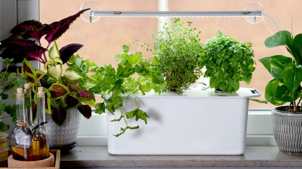 Vesiviljelypakkaus Harvy3 valkoinen 3-osainen