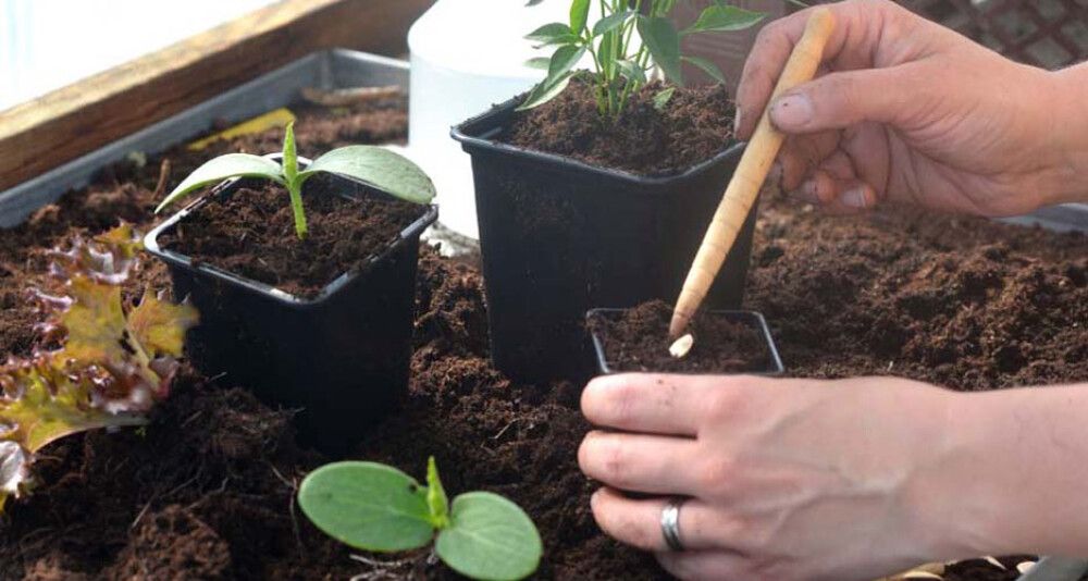 Muoviruukku neliö 9 cm 20 kpl