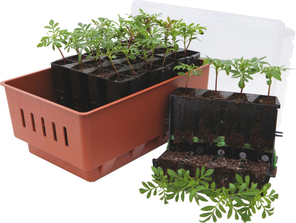 Pienoiskasvihuone 19,5 x 29 x 21 cm