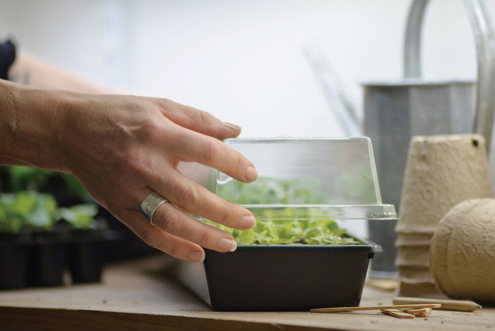 Pienoiskasvihuone Solid 14 x 68 x 6 cm