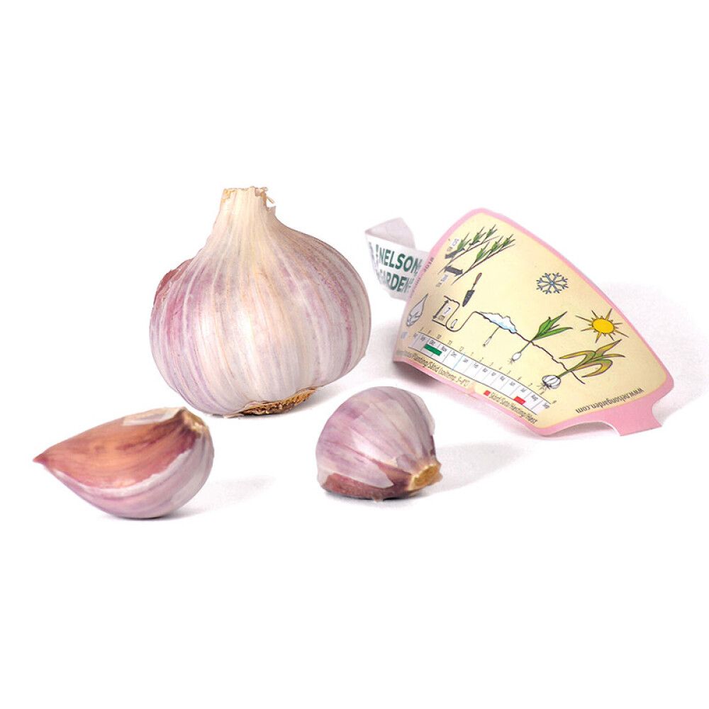 TALVIVALKOSIPULI DUKAT