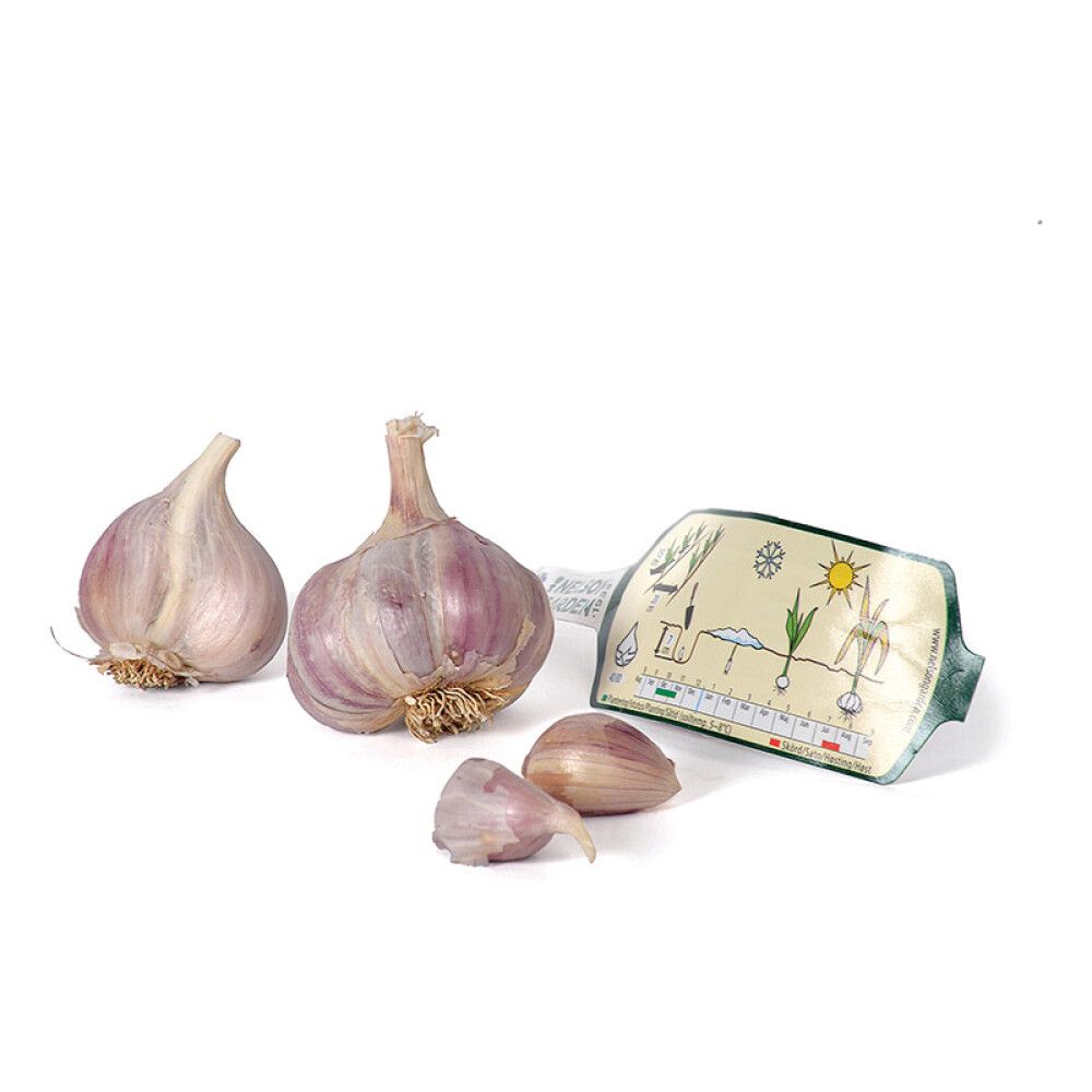 TALVIVALKOSIPULI UNIKAT