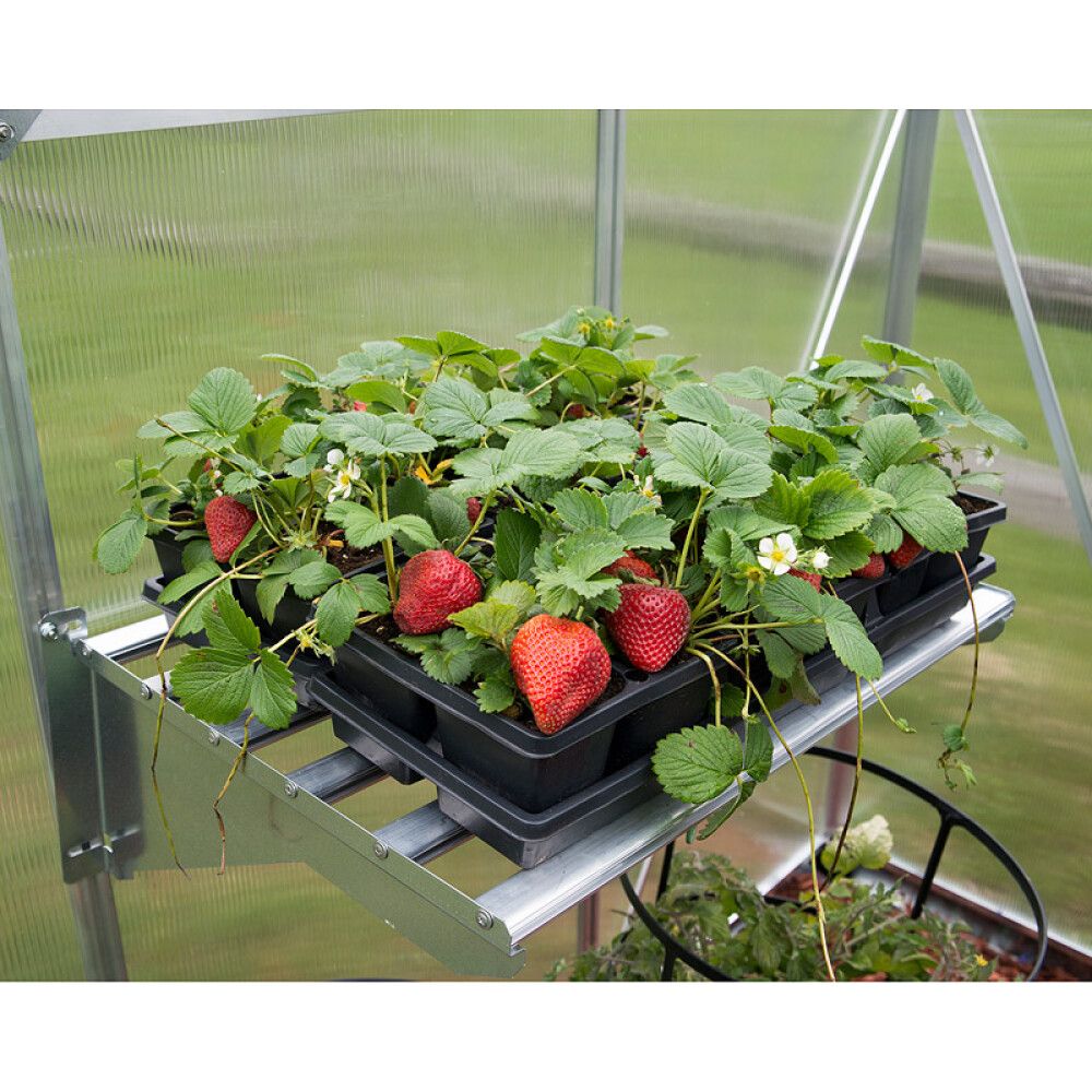 Hylly Palram-Canopia kasvihuoneisiin Heavy Duty