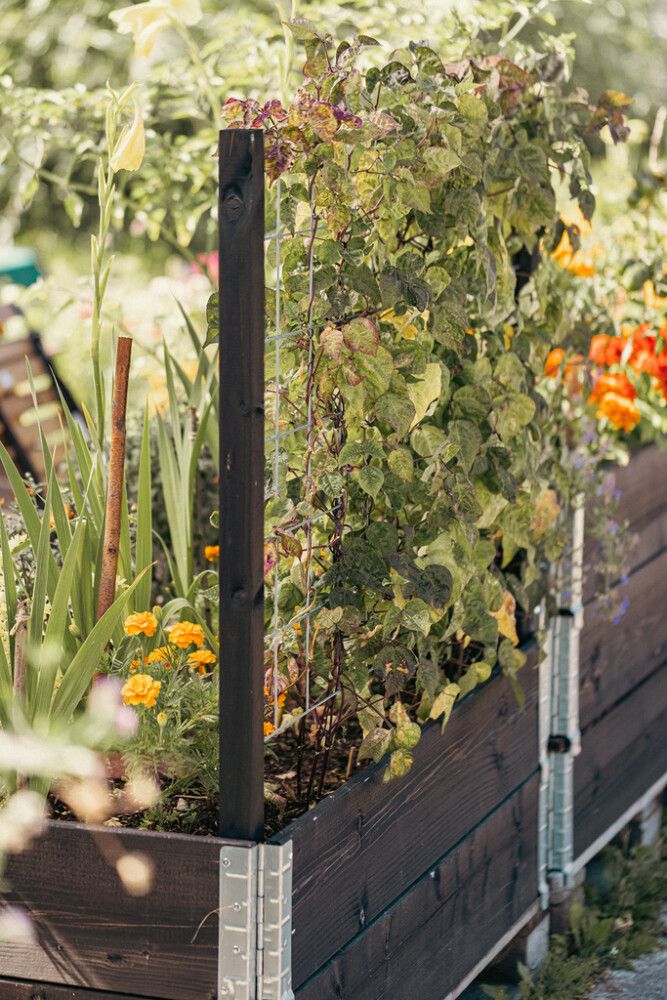 Tukipuu lavakaulukselle 2 kpl musta