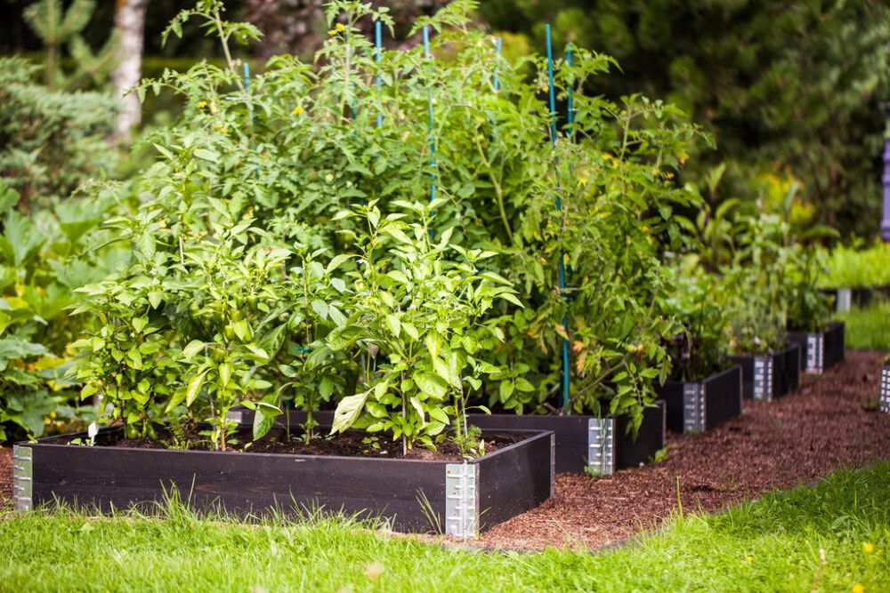 Lavakaulus 120 x 80 x 20 cm musta