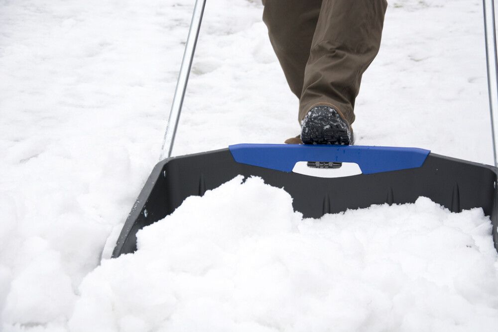 Lumikola Masi Nova Max