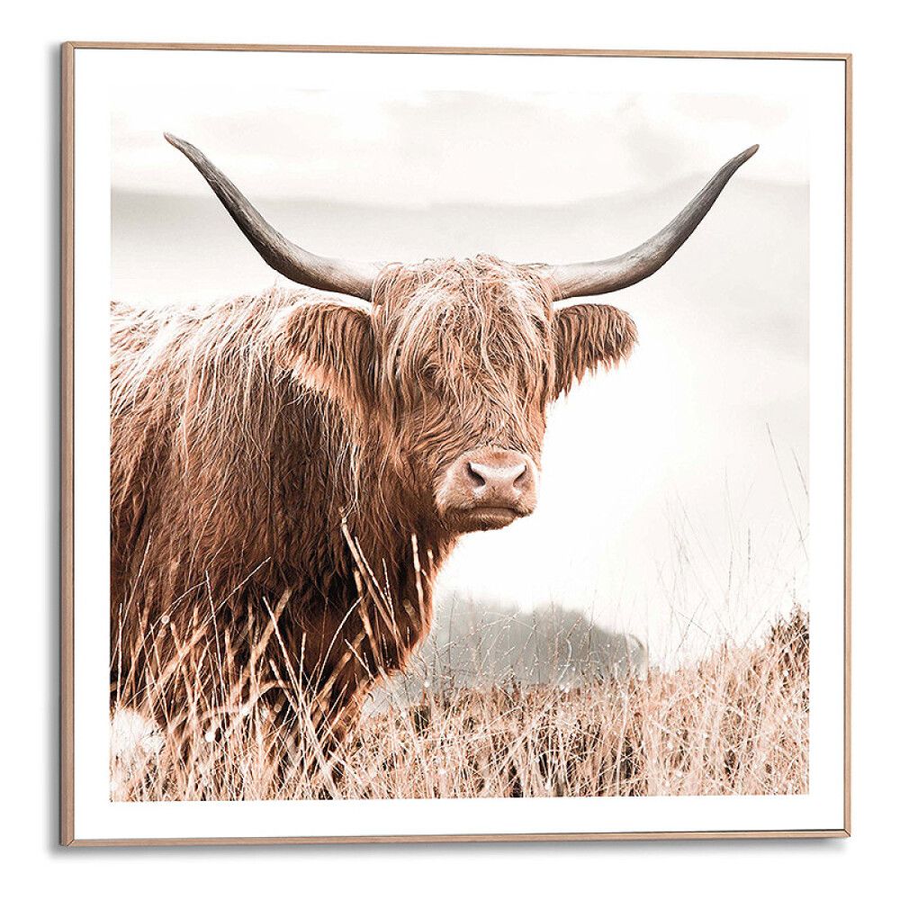 Sisustustaulu Reinders Nature Cow 50 x 50 cm
