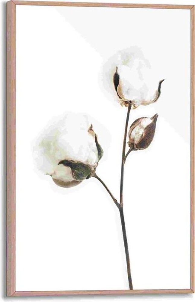 Sisustustaulu Reinders Dots of Cotton 20 x 30 cm