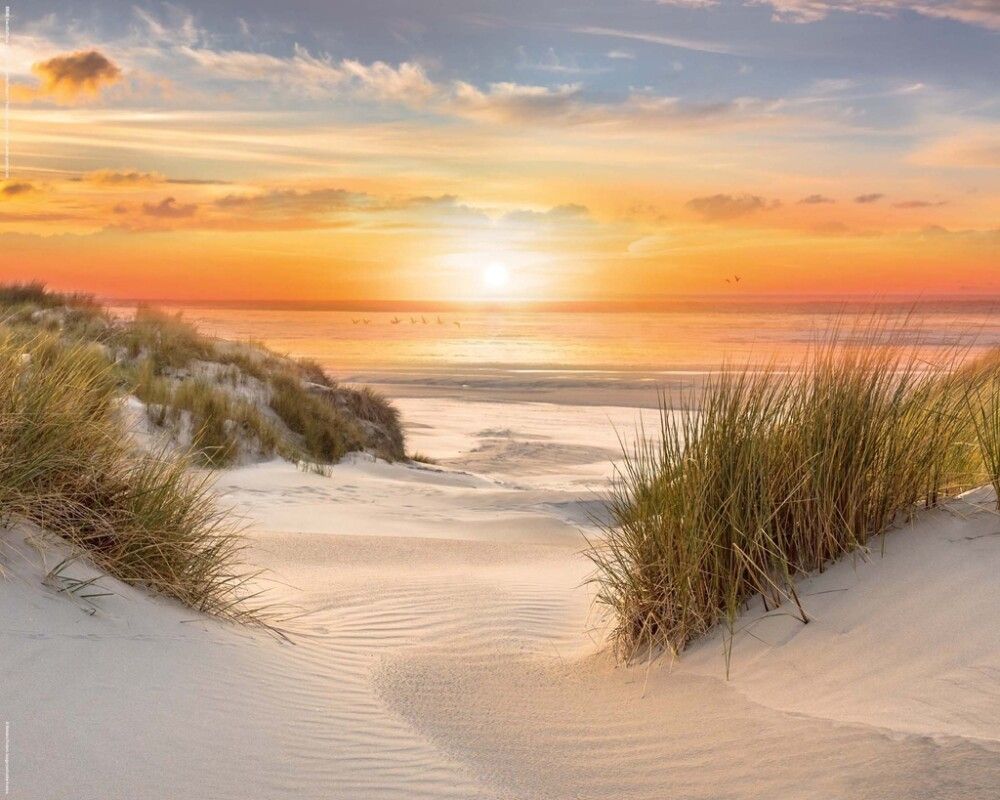 Sisustustaulu Reinders Beautiful Dunes 40 x 50 cm