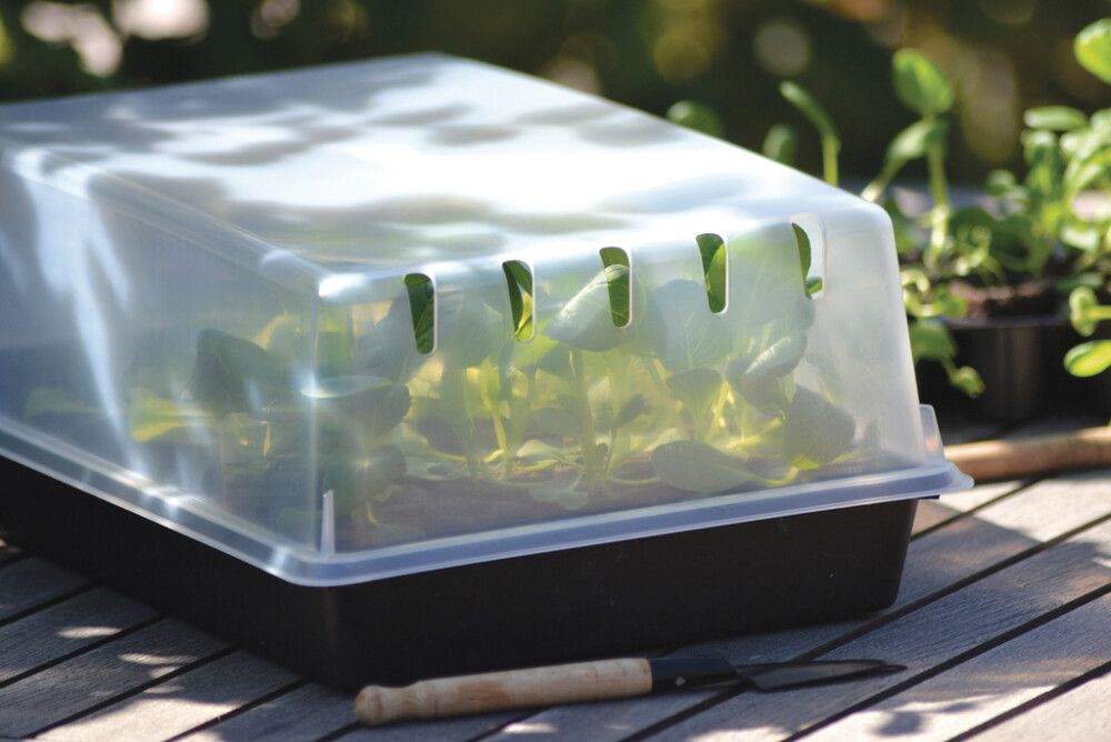 Taimikasvatuslaatikon kansi Solid 38 x 24 cm