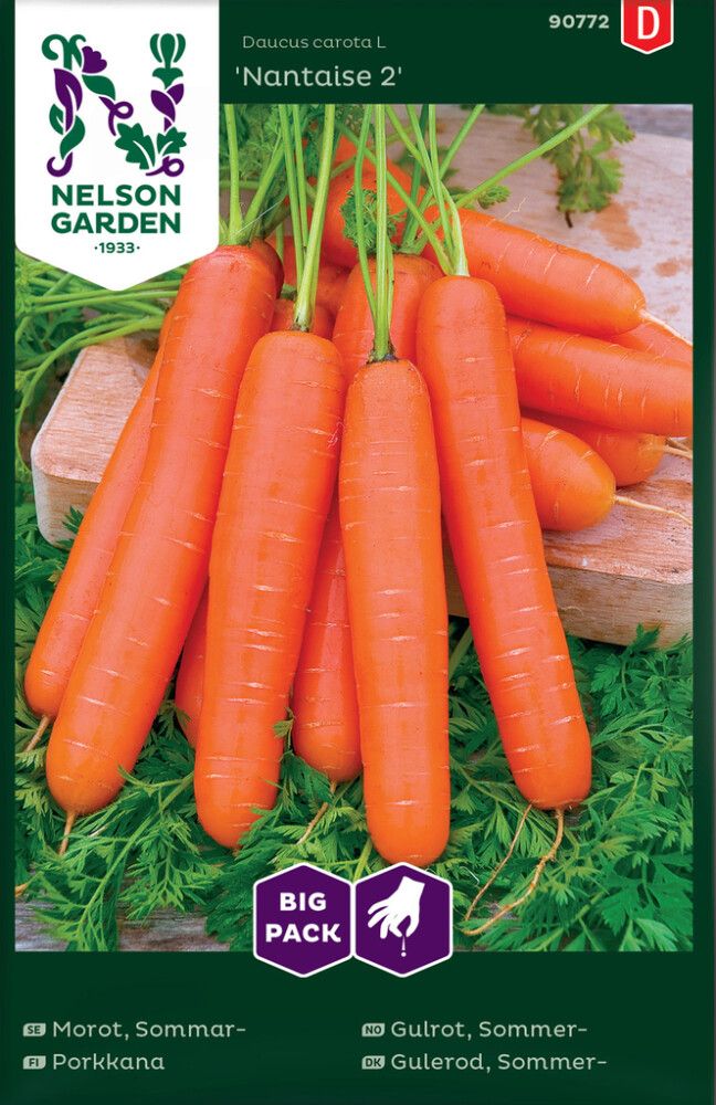 Kesäporkkana Nelson Garden Nantaise