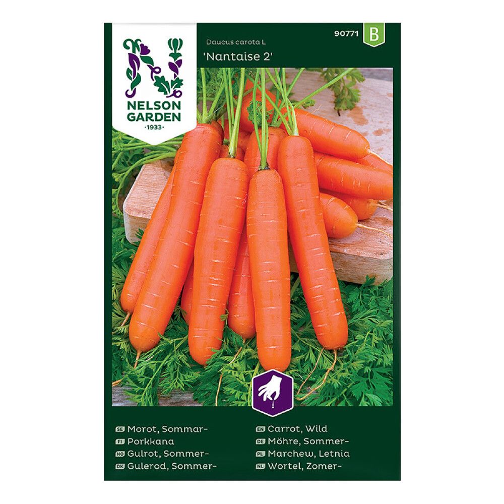 Kesäporkkana Nelson Garden Nantaise