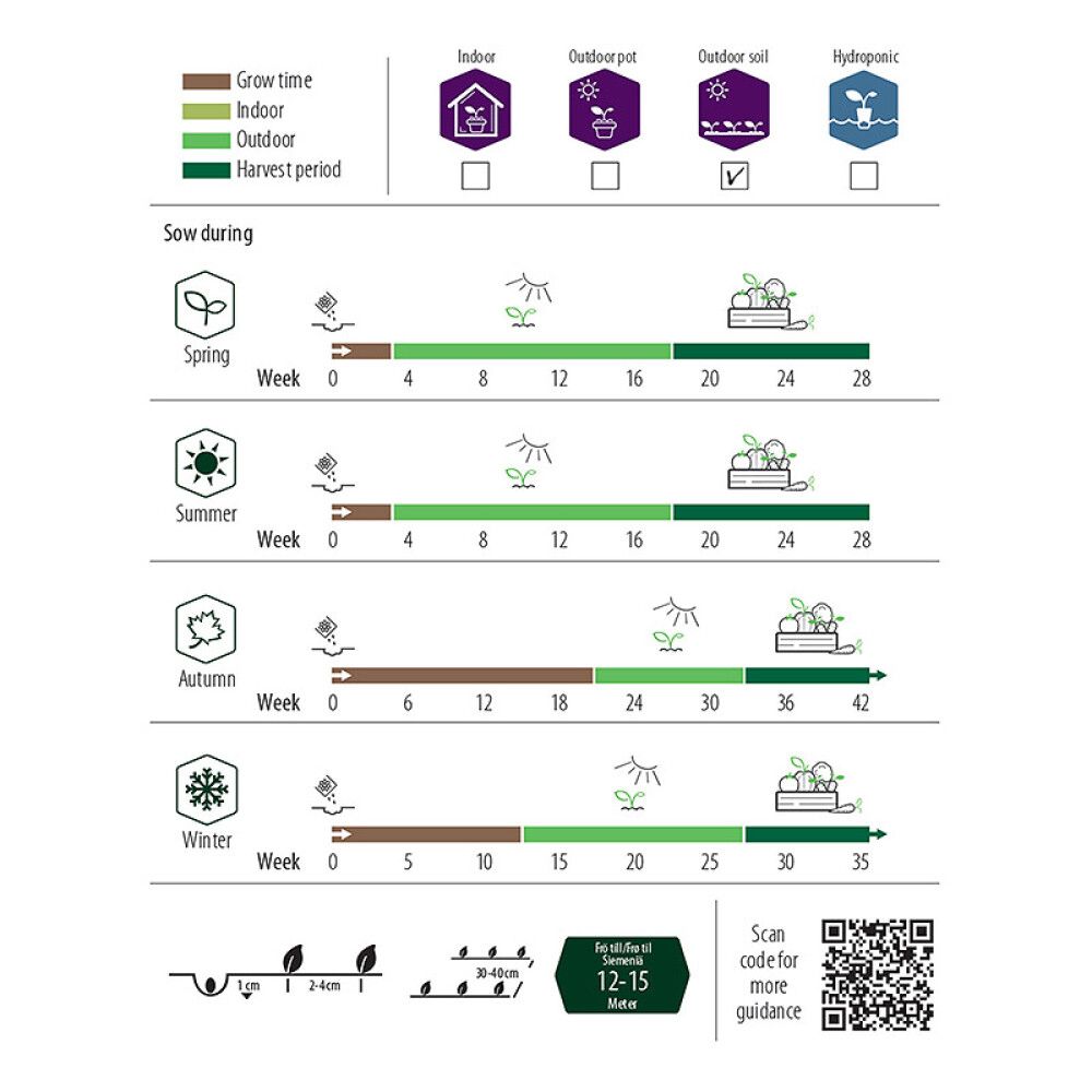 Kesäporkkana Nelson Garden Nantaise