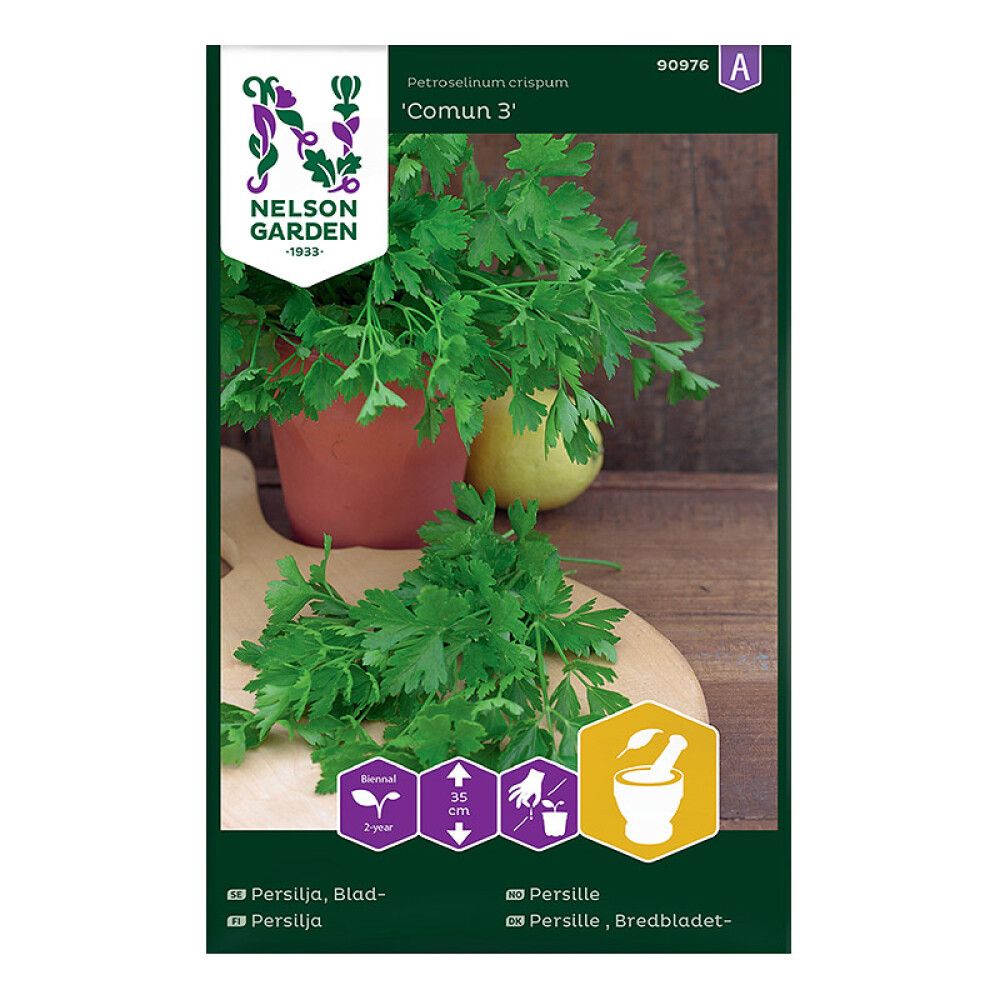 Persilja Nelson Garden Comun sileälehtinen