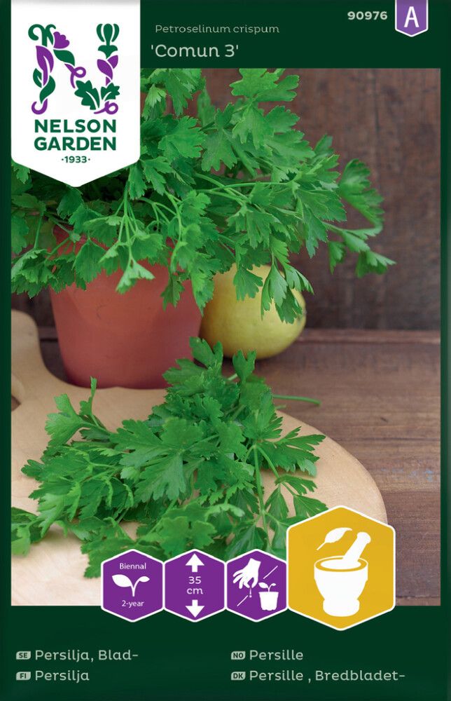 Persilja Nelson Garden Comun sileälehtinen