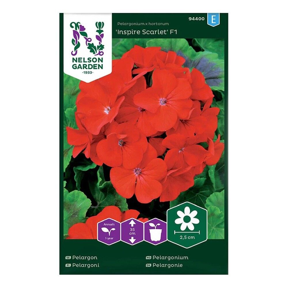 Pelargoni Nelson Garden Inspire Scarlet
