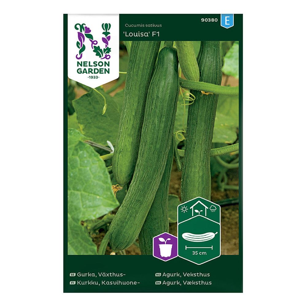 Kasvihuonekurkku Nelson Garden Louisa