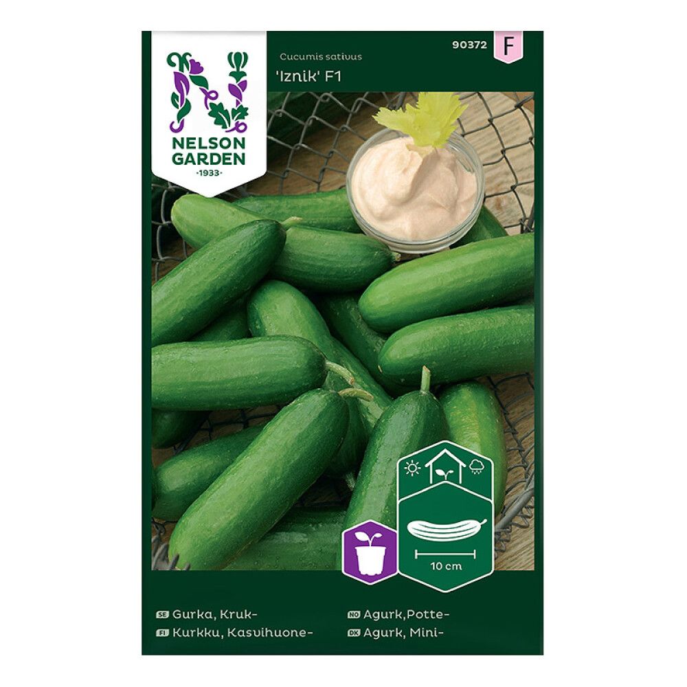 Kasvihuonekurkku Nelson Garden Iznik