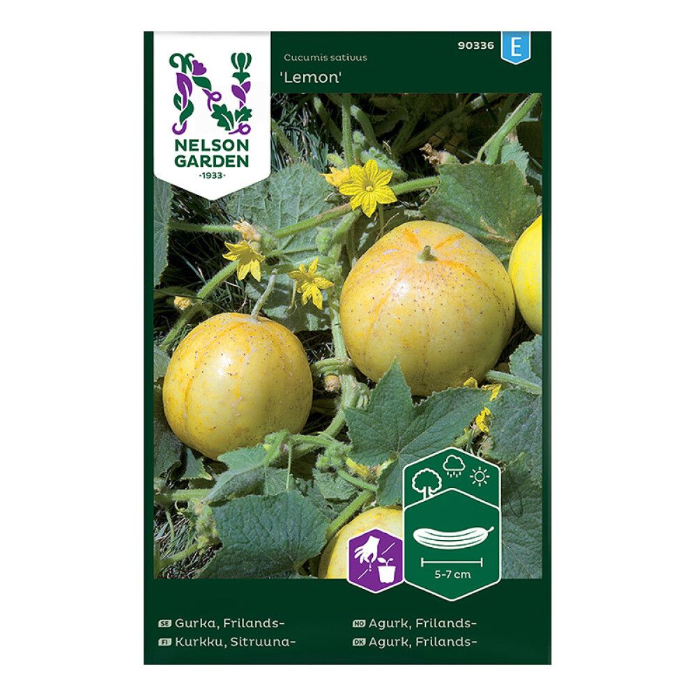 Sitruunakurkku Nelson Garden Lemon